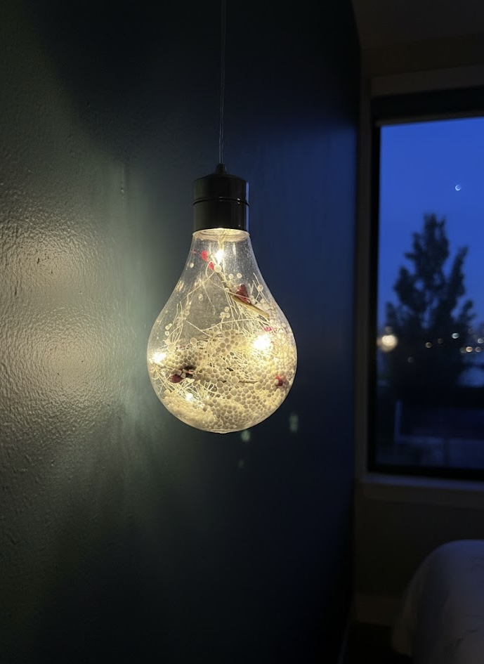 LED Glass Bulb Pendant Light